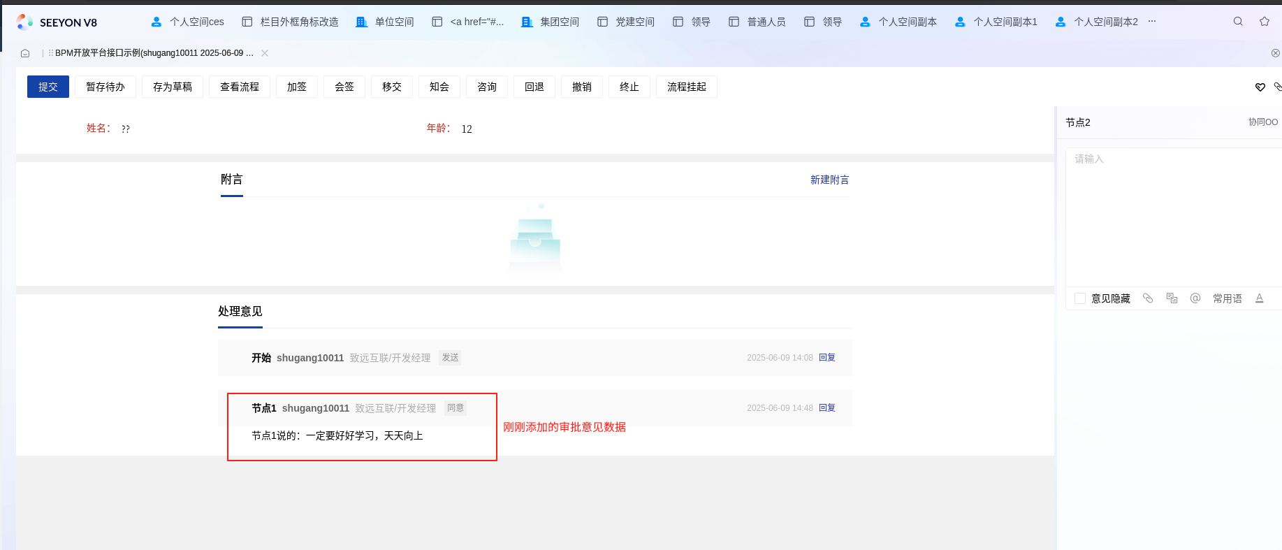提交的审批意见